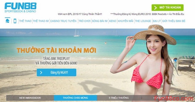 Trang bị cho người chơi kiến thức vững chắc Trang bị cho người chơi kiến thức vững chắc